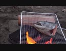 一人で秋鮭焼いてみた!!