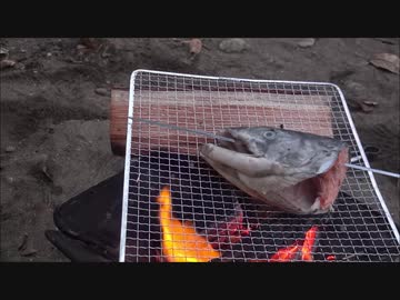 一人で秋鮭焼いてみた!!