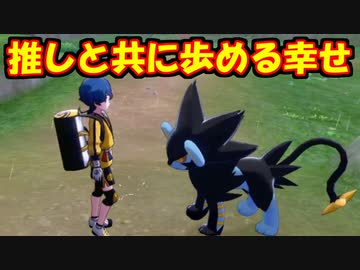 【ポケモン剣盾】青ざめるヨロイ島奮闘記７ -連れ歩き感動編-
