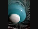 いってきます。