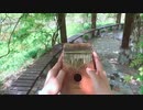 カリンバを学ぶのは難しいですか【LingTing Kalimba】Always With Me