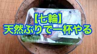 【七輪】天然ぶりで一杯やる