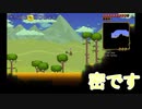 ハチミツ採取に便利なseed値【Terraria】