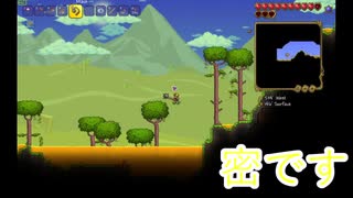 ハチミツ採取に便利なseed値【Terraria】