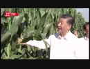 習総書記、吉林省視察