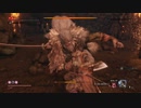 【SEKIRO】カンスト苦難厄憑き過去梟ノーダメージ