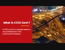 cscs card types