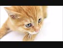 【スピッツ】 甘ったれクリーチャー　～草野マサムネさん風に歌ってみた～（2020.07.21）