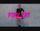 【ピンクヘアーで】 PiNK CAT  踊ってみたよー【ぐると2号】