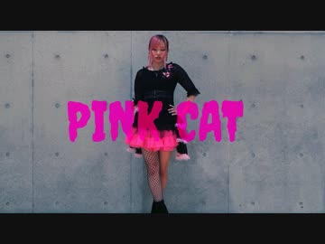 【ピンクヘアーで】 PiNK CAT  踊ってみたよー【ぐると2号】