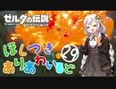 【ゼルダの伝説BotW】ほしつきありあわいるどPart29【VOICeVI実況】