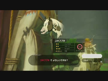 【ゼルダの伝説BotW】最終剣に憧れてBotW part13【初見実況】