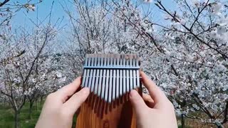 カリンバはどのようにプレーしますか【LingTing Kalimba】Yae Sakura