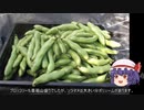 ゆっくり農民138ソラマメを育ててみませんか？#2
