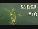 【ゼルダの伝説ブレスオブザワイルド＃10】新敵とコログどっちが好きなの？【はるの積みゲー崩し】