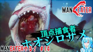 【実況】MANEATERやる！【14】