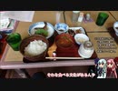 坂バカ茜チャンの練習日記２【VOICEROID車載実況】