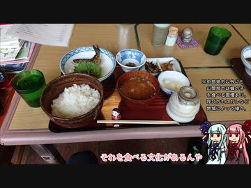 坂バカ茜チャンの練習日記２【VOICEROID車載実況】