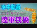 水中動画（2020年7月16日）in 陸軍桟橋Part2