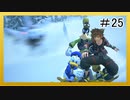【KH3】回復禁止の初見KH3クリティカル part25【実況】