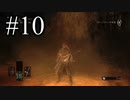 【実況】初見デモンズでさすらって逝く 第10廻