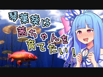 【VOICEROID実況】琴葉葵は茜ちゃんを育てたい！【My koi】