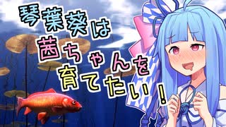 【VOICEROID実況】琴葉葵は茜ちゃんを育てたい！【My koi】