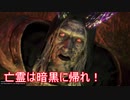【縛って極振り】仁王2を苦行で楽しむ_part40_醍醐の花見_後編