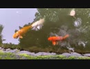 [心霊スポット1人生突撃]親子散歩20200718その1