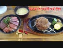 【Ninja1000】ランチツーに行ってきた【クロスカブ】