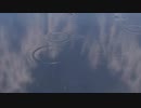 Blender2.82a test Eevee Cycles