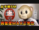 【体位】未知なる正常位へようこそ