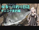 ゆるーり釣り日誌　チニング実釣編