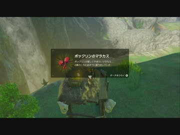 【ゼルダの伝説BotW】最終剣に憧れてBotW part16【初見実況】