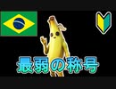 [初心者向け]　最弱と呼ばれるブラジルサーバーなら建築編集まともにできなくても簡単に勝てる説　[フォートナイト/Fortnite]
