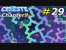 フレーム単位の精密さが要求される難関エリア[Celeste]#29