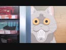 猫 クソキャット