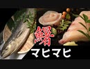 【握ってみた】寿司職人によるシイラ(マヒマヒ)のお寿司とお刺身の作り方