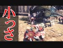 【MHWIB】宇宙を征服したハンマーの強大すぎる力を今解き放て【モンスターハンターワールドアイスボーン】