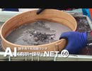 諫早湾干拓問題ラジオAIネット第60回「有明海の採泥調査」ゲスト：佐藤慎一さん（静岡大学教授）