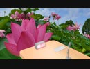 結月ゆかり・紲星あかりのスーパームーンラジオ2020/07/24収録＃１