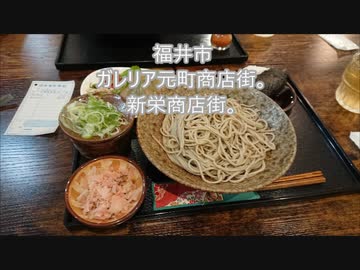 福井市ガレリア元町商店街。新栄商店街。