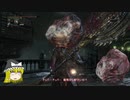 【ゆっくり実況】Bloodborneをゆっくり初見攻略 Part62