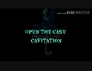 open the case 「cavitation 」MV