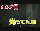【OUTLAST2／アウトラスト2】男二人猫一匹【実況】#6