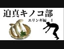 迫真キノコ部・エリンギ栽培の裏技　前編