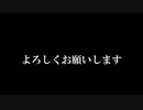 【幻想入り】東方光霊録【振り返り】