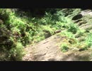 Blue Door Walk Edzell