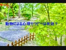 英語でアクティブラーニング_動物セラピーは有効？