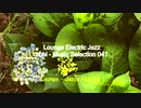 「subi - Music Selection 041」※Lounge Electric Jazz 00449